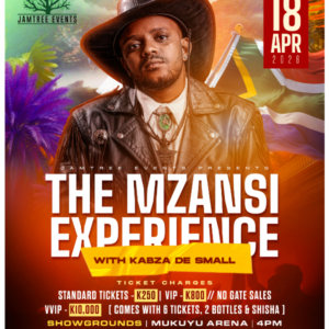 Profile image for The Mzansi Experience with Kabza de Small