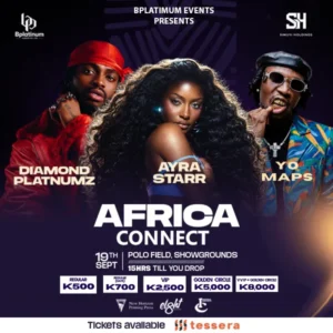 Profile image for Africa Connect Concert