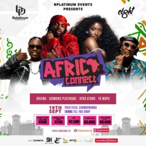 Profile image for Africa Connect Concert