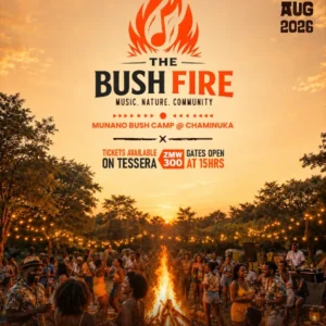 Profile image for The Bush Fire