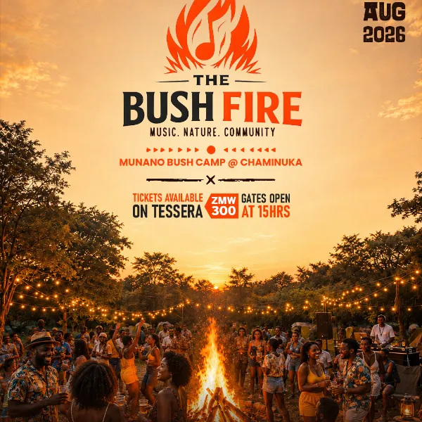 Profile image for The Bush Fire