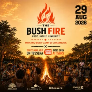 Profile image for The Bush Fire