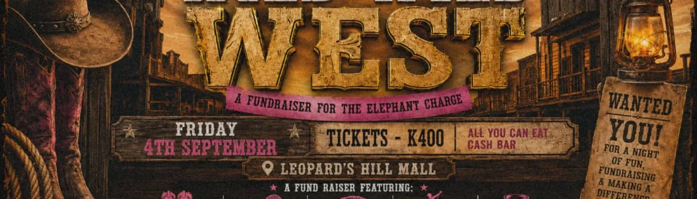 Banner for WILD WILD WEST