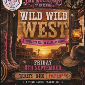 Profile image for WILD WILD WEST
